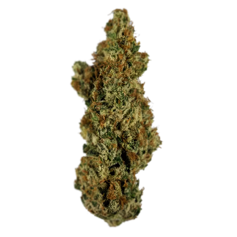 Atomic - Indoor Top Shelf - Banana Cream Pop