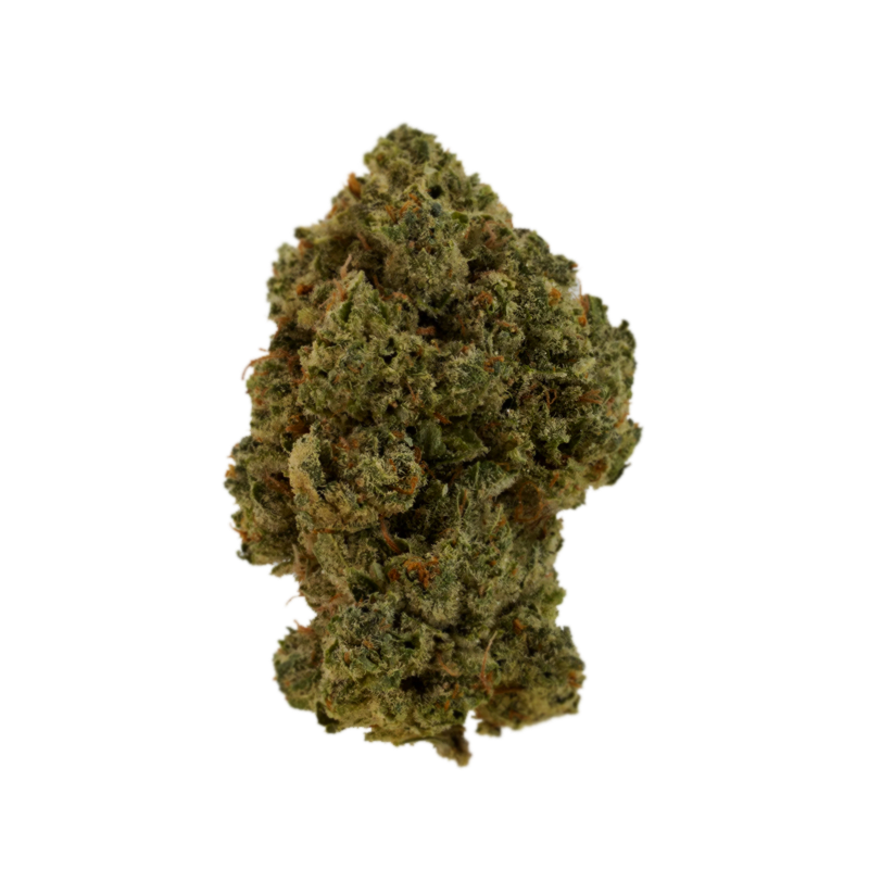 Green Lettuce - Flor Interior AA - Black Diamond