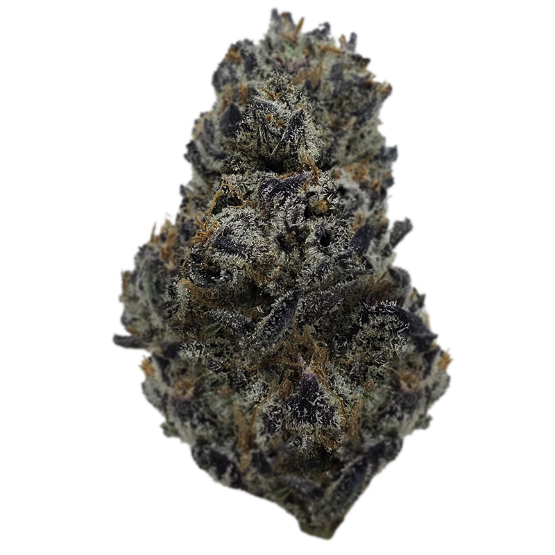 Atomic - Indoor Top Shelf - Bling Blaow