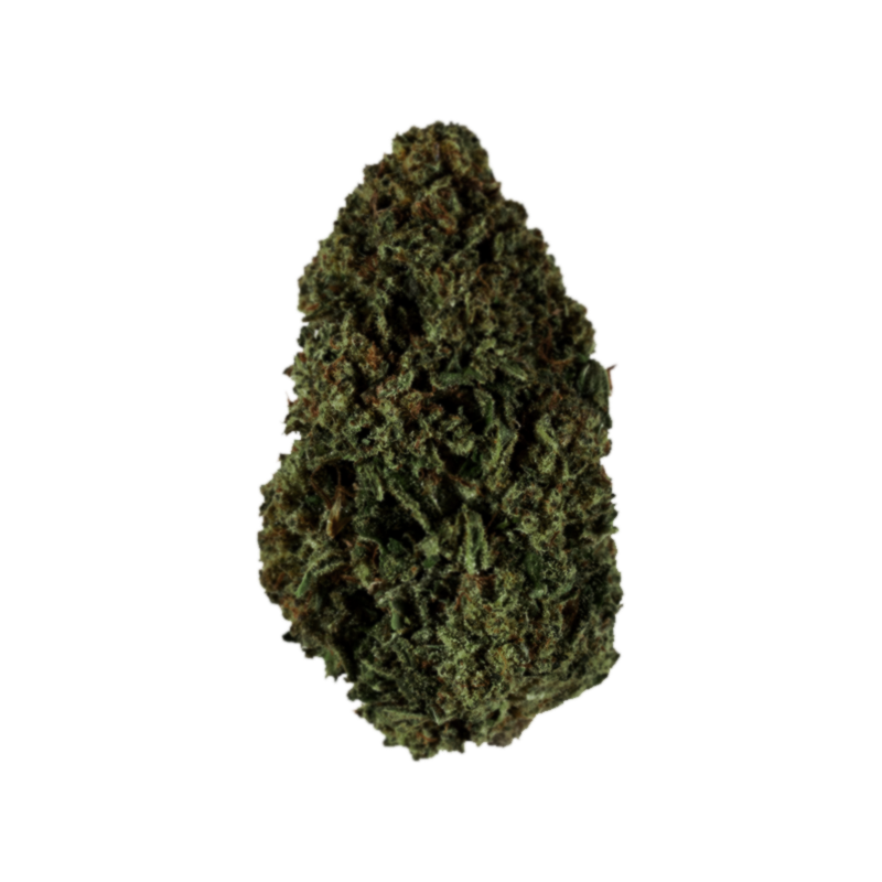 Atomic - Flor Exterior - Blueberry