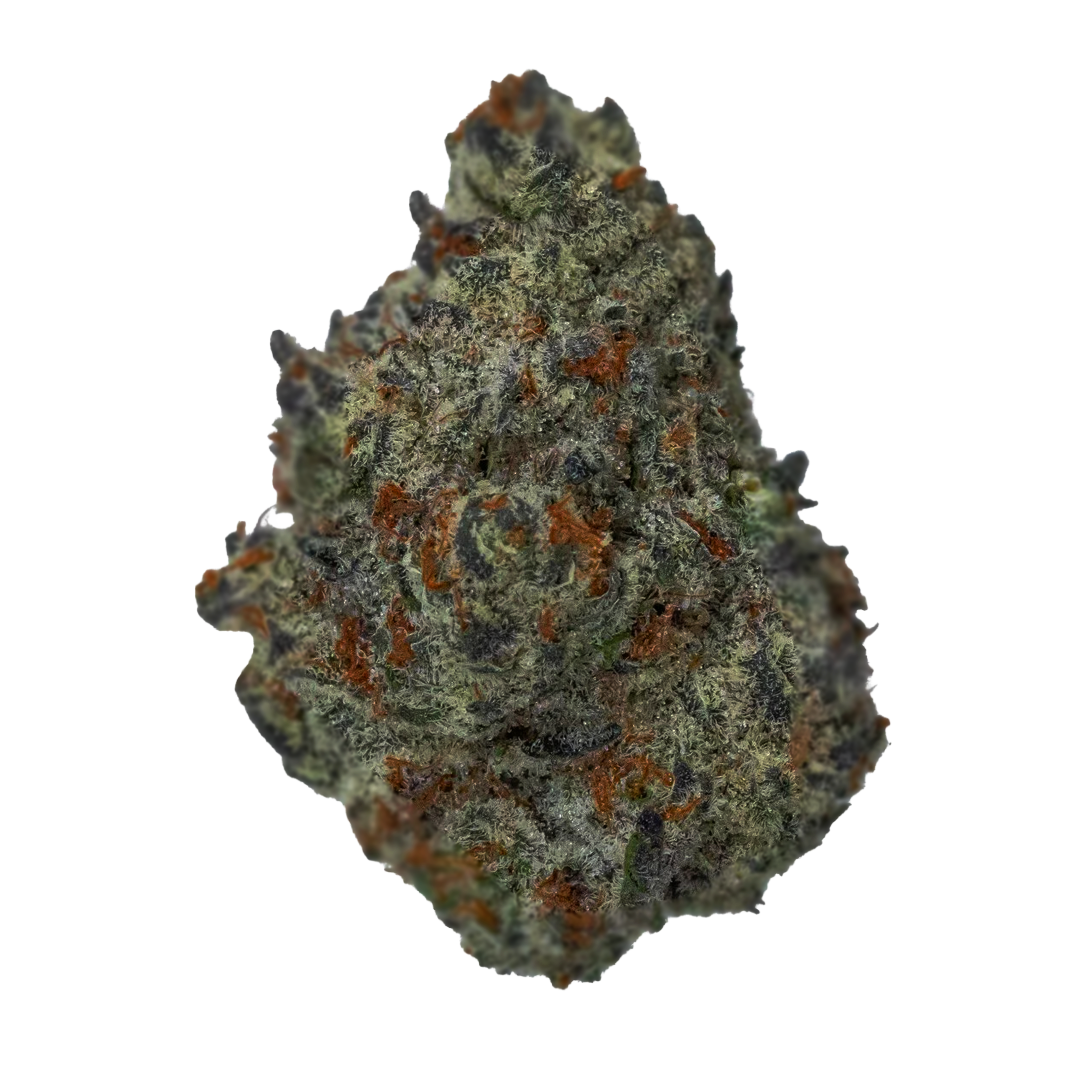 Atomic - Flor Interior A - Gelato Cookies