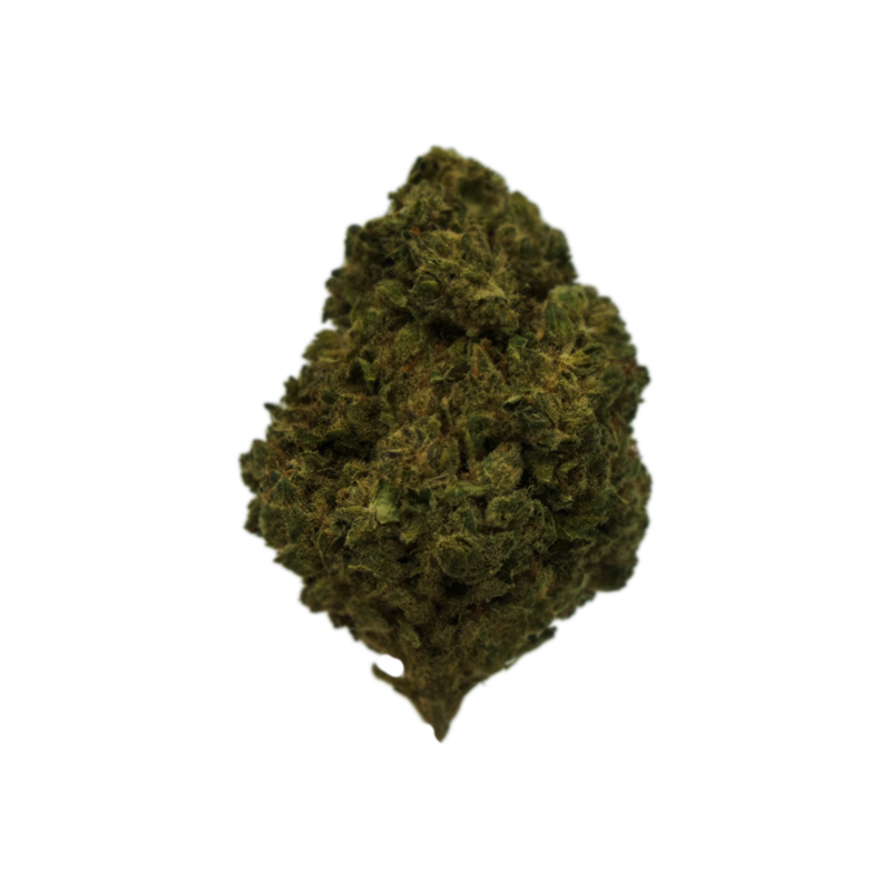 Catrina - Flor Exterior - GG4