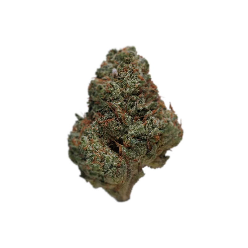 Atomic - Flor Indoor AA - Guava