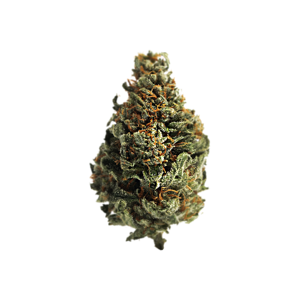 Atomic - Flor Greenhouse Light Dep - Sinaloa Gold