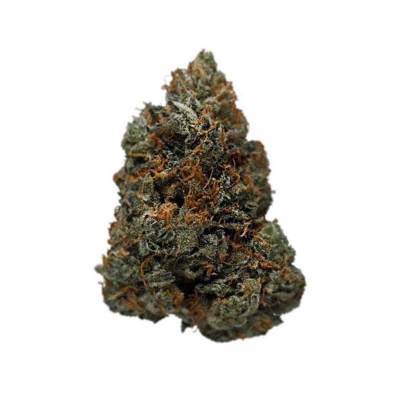 Green Lettuce - Flor Interior AA - Jelly Dulce