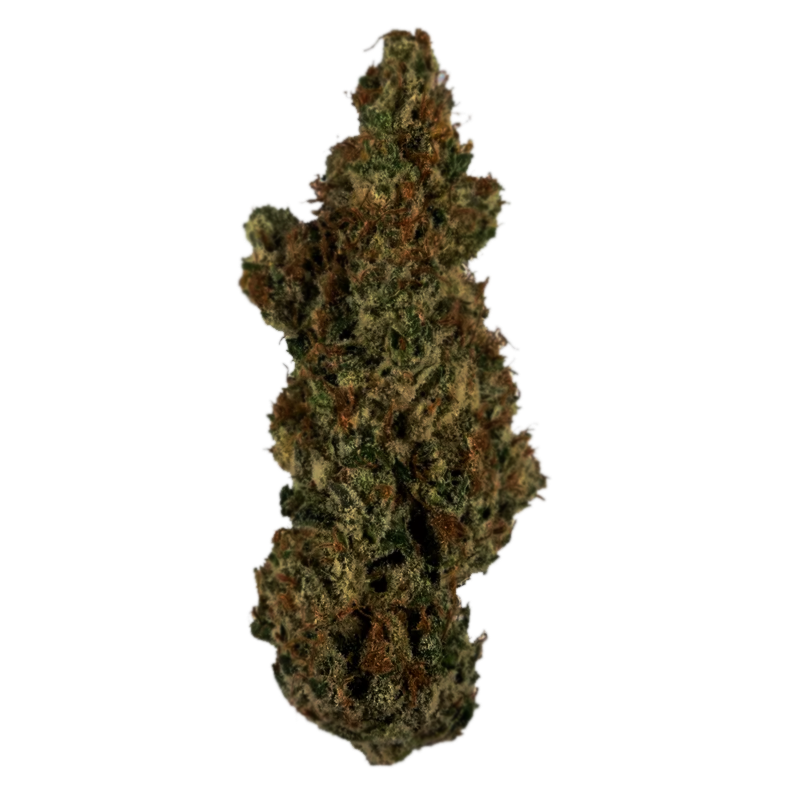 Green Lettuce - Flor Interior AA - L'orange