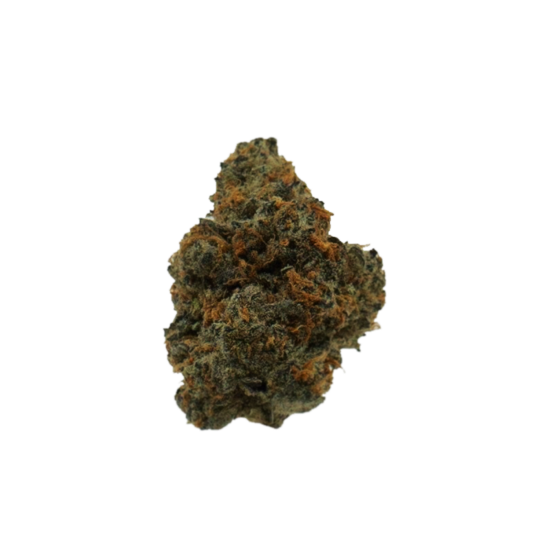 Atomic - Flor Greenhouse - Oreoz