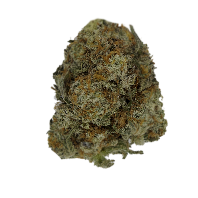 Atomic - Indoor Top Shelf - Pan Dulce #47