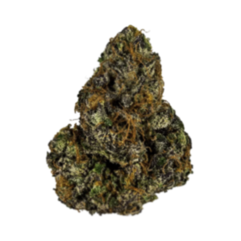 Atomic - Flor Exterior - Papaya