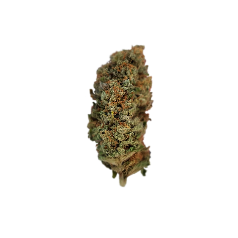 Catrina - Flor Interior AA - Cherry Driver #3