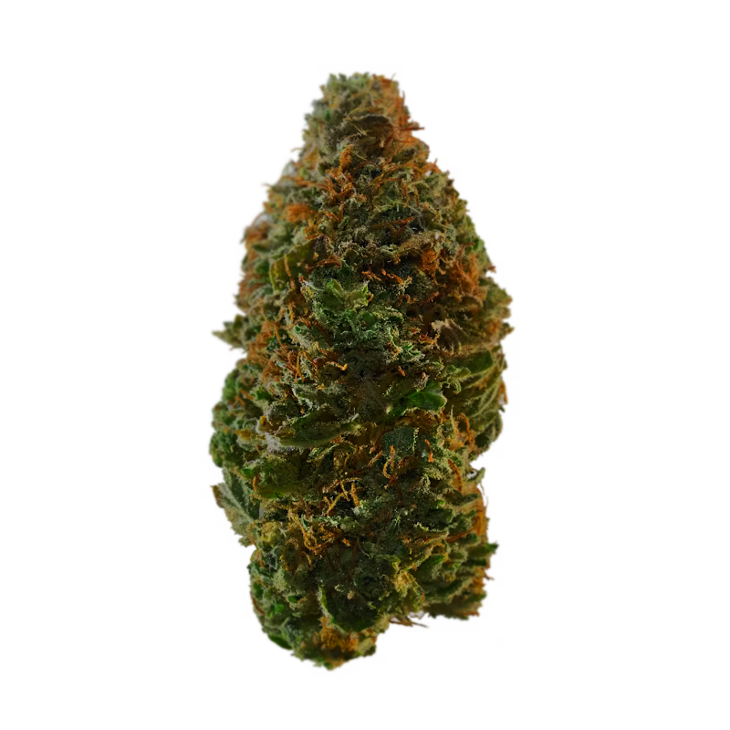 Catrina - Flor Interior AAA - Sweet Kush