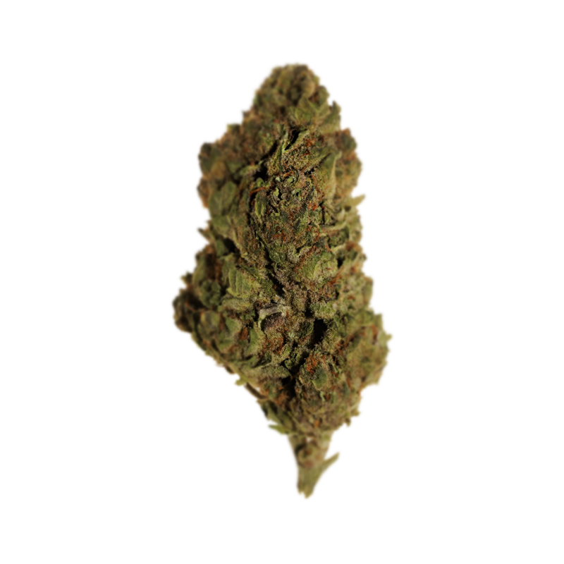 Sacatlan Grows - Flor Invernadero AAA - Tropicana Cherry