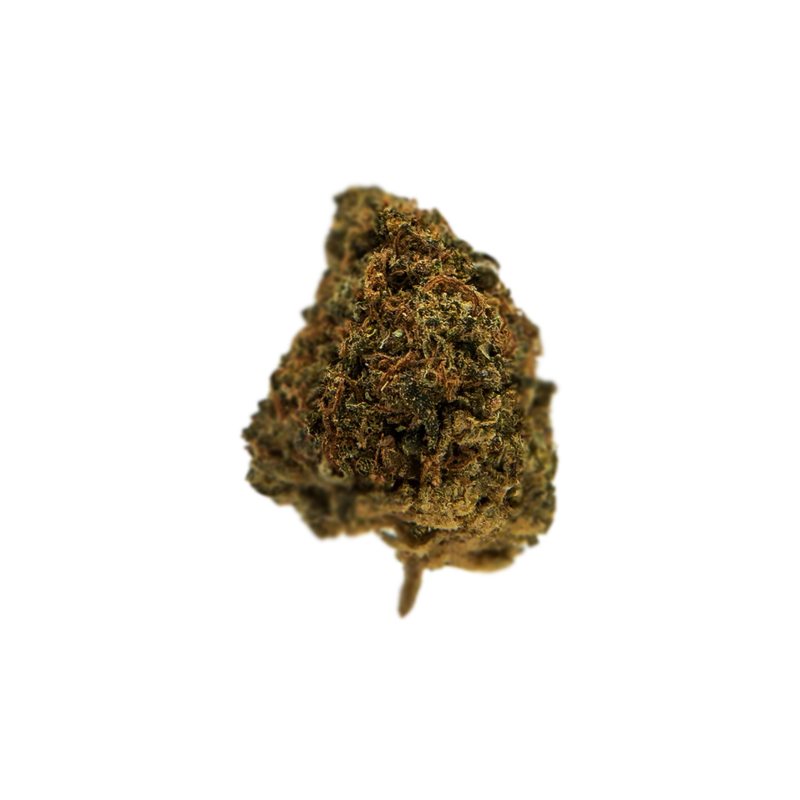 Catrina - Flor Exterior- Acapulco Gold