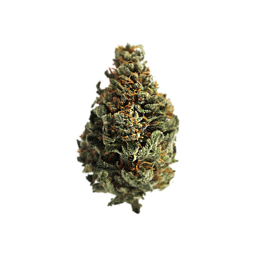 Atomic - Flor Greenhouse Light Dep - Sinaloa Gold