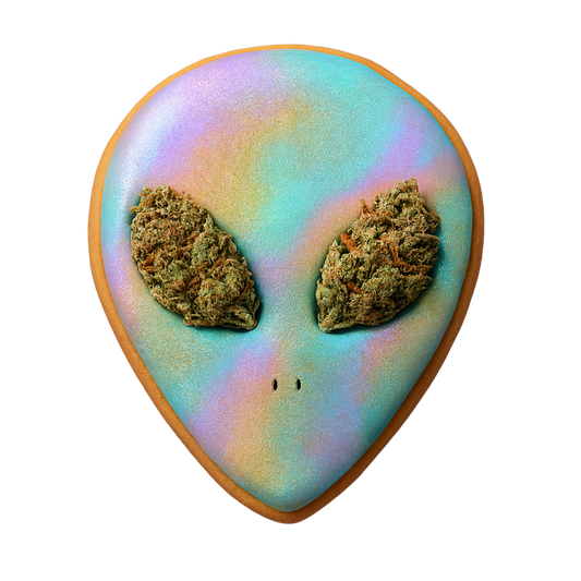 Atomic - Indoor Top Shelf - MAC 1