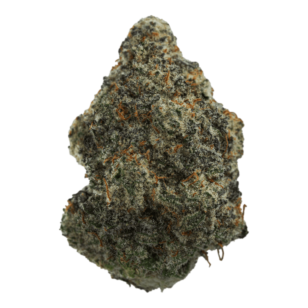 Atomic - Indoor Top Shelf - MAC 1