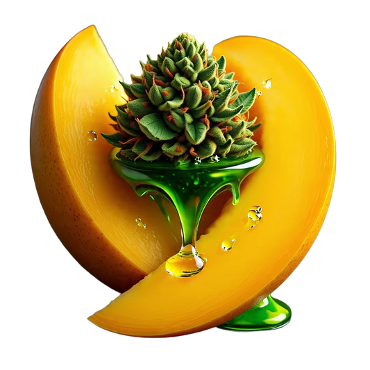 DabTender - Flor Invernadero A - Mango Haze