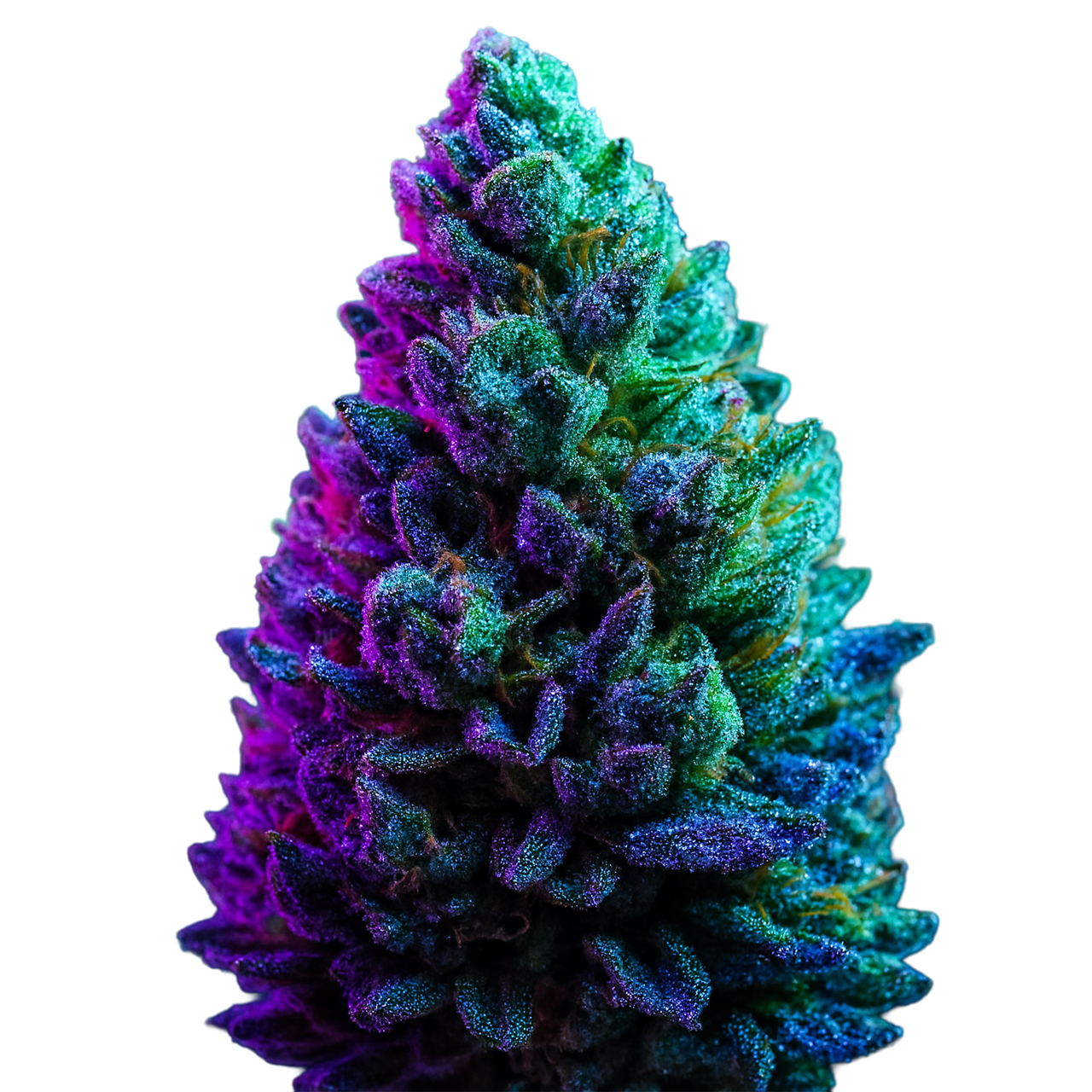 DabTender - Flor Exterior - Nothern Lights