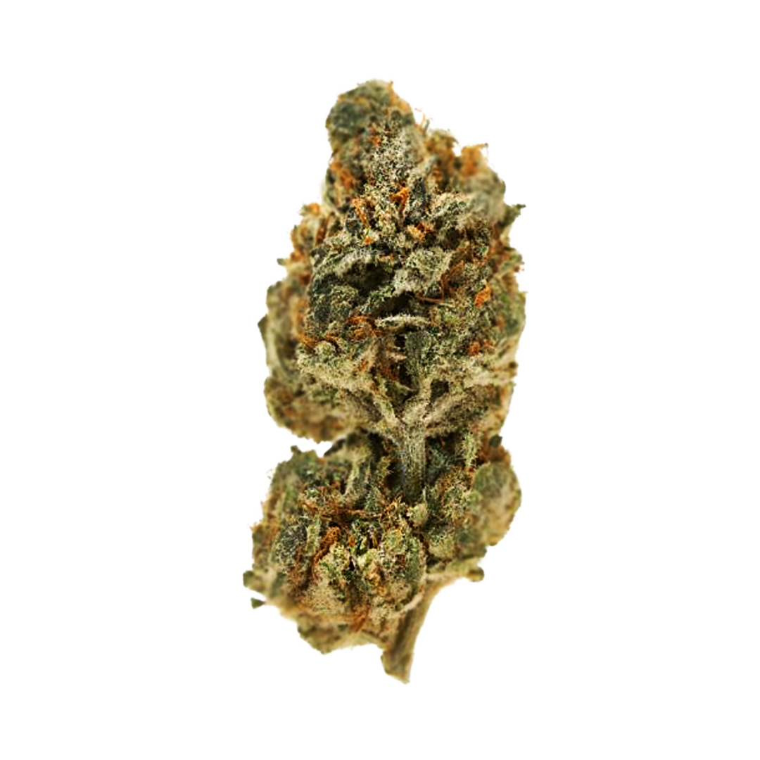 Atomic - Indoor Top Shelf - OC OG