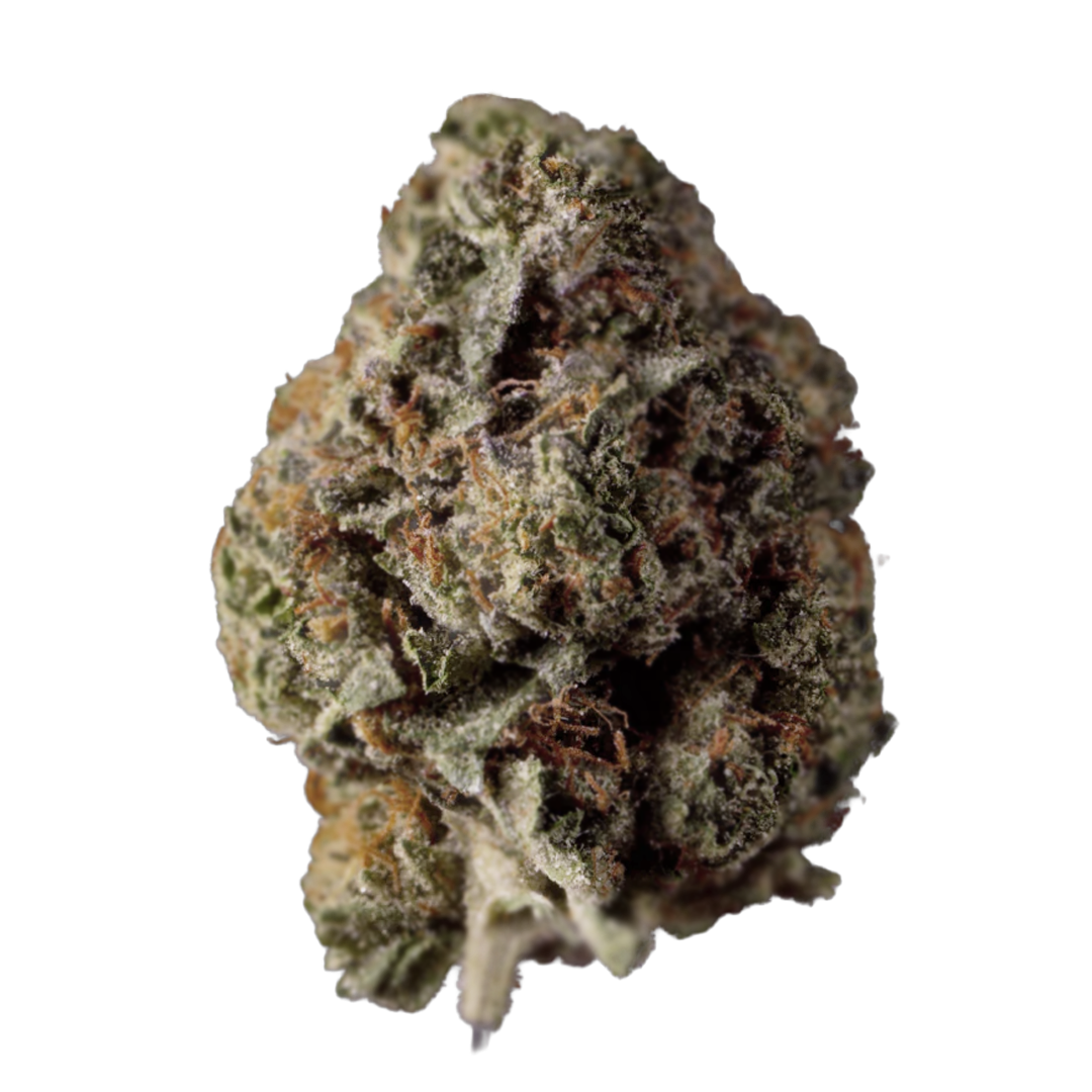 Catrina - Flor Interior A - Orange Crush