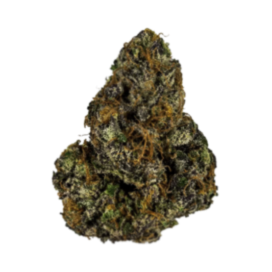Atomic - Flor Exterior - Papaya