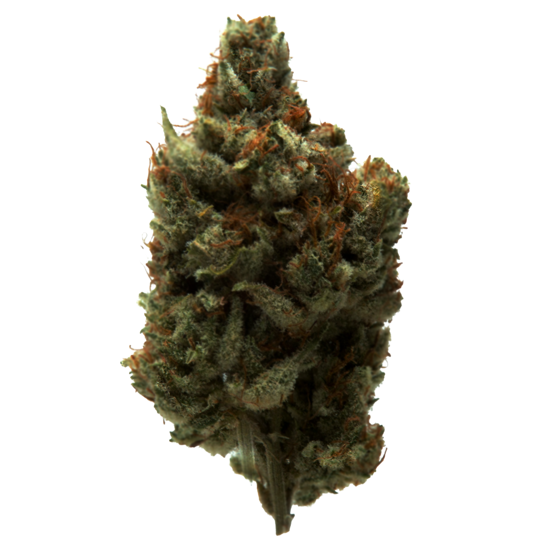 Green Lettuce - Flor Interior AAA - Snow Bud