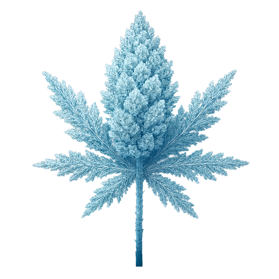 Green Lettuce - Flor Interior AAA - Snow Bud