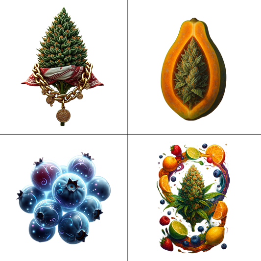 Atomic - Flor Exterior - Strain Sampler Bud Box